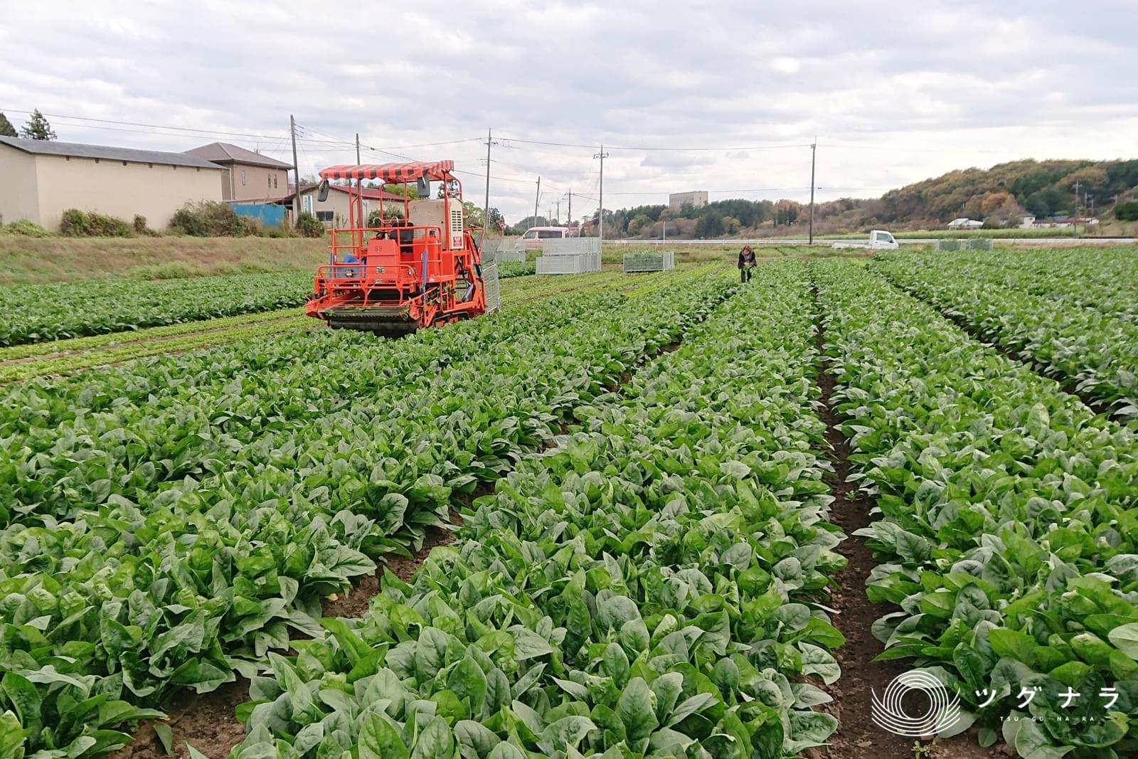 株式会社前田牧場_私たちのこだわり