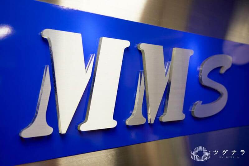 株式会社MMSホールディングス