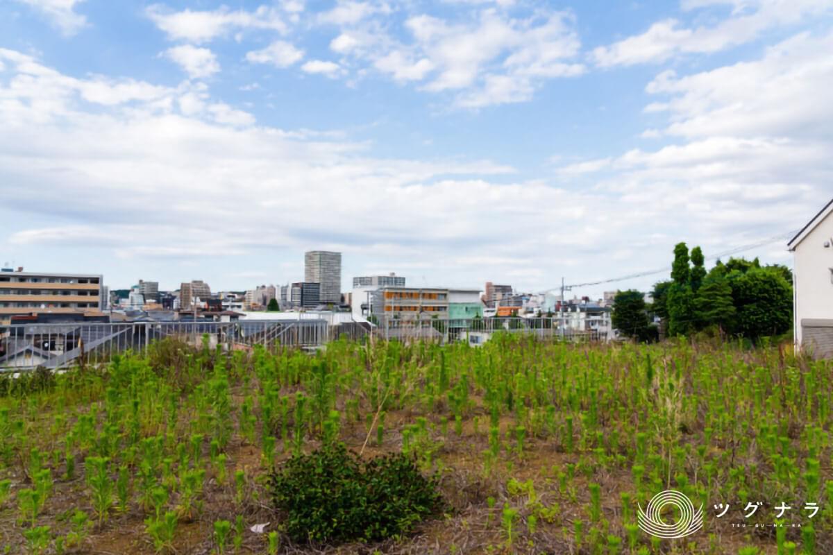 株式会社エスエイアシスト 会社概要