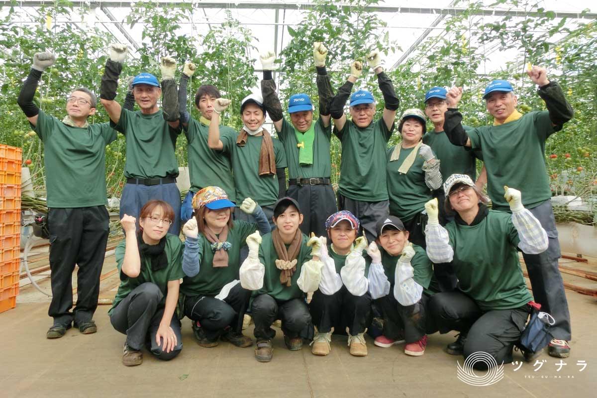 株式会社アムーヴ 会社概要