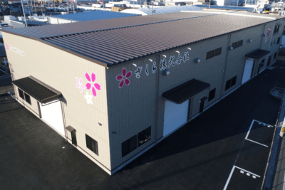 さくら株式会社